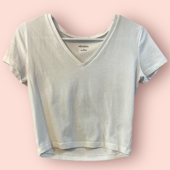 wild fable Tops - EUC | Wild Fable | Basic White Crop V-Neck T-Shirt | Size Medium